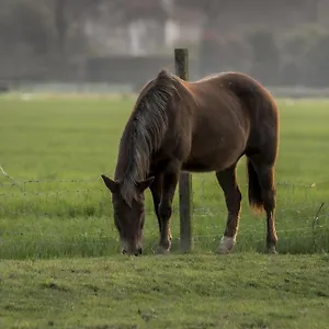 Al Botteniga Séjour à la ferme Trévise